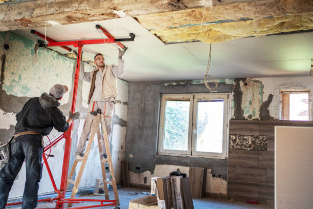 Best Insulation Installation Services in Taylors Falls, MN