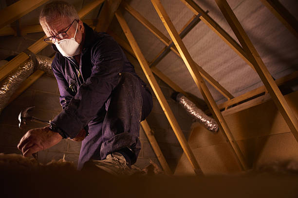 Best Types of Insulation in Taylors Falls, MN