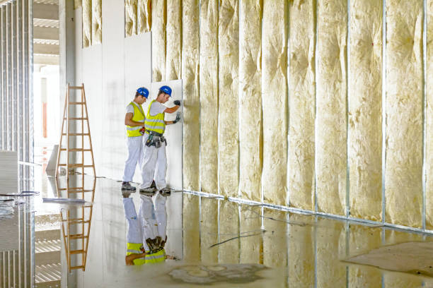 Best Types of Insulation in Taylors Falls, MN